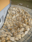 Preview: Dolomit Bruchsteine 90/250 mm 1000KG